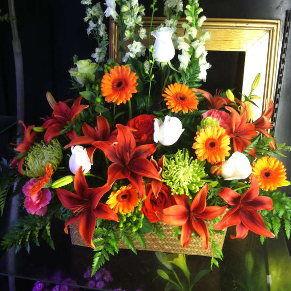 Tall basket arrangement of red lilies, orange gerberas, white callas and mixed flowers