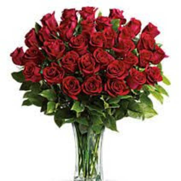36 Roses Vased