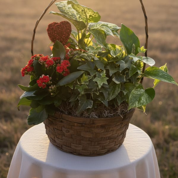 Basket planter with red flowers and assorted green foliage