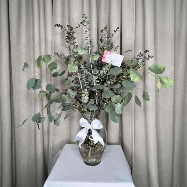 Eucalyptus Elegance