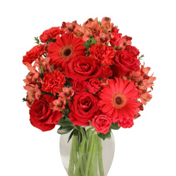 Red roses, gerbera daisies, carnations, and alstroemeria arranged in a clear glass vase.