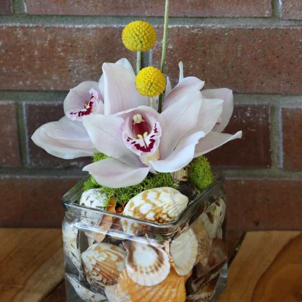 Square glass vase filled with seashells topped with pale orchids and yellow ball flowers