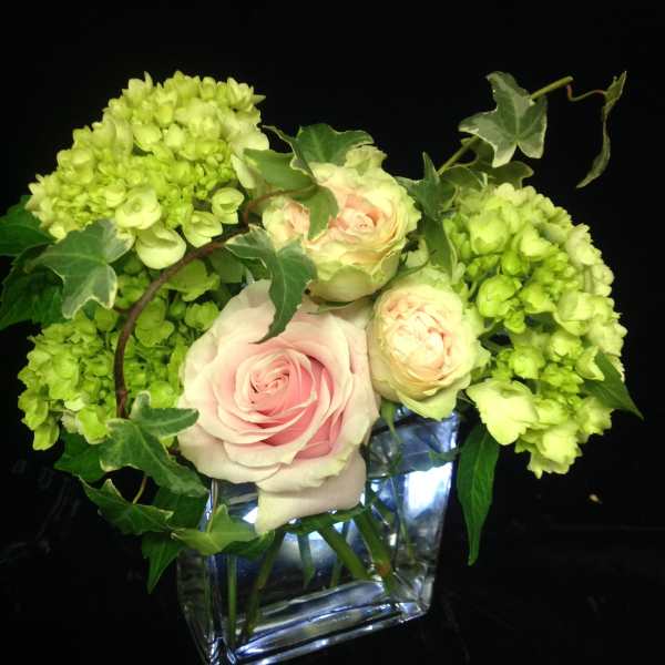 Compact arrangement of pale pink roses and green hydrangeas in a clear glass cube vase.