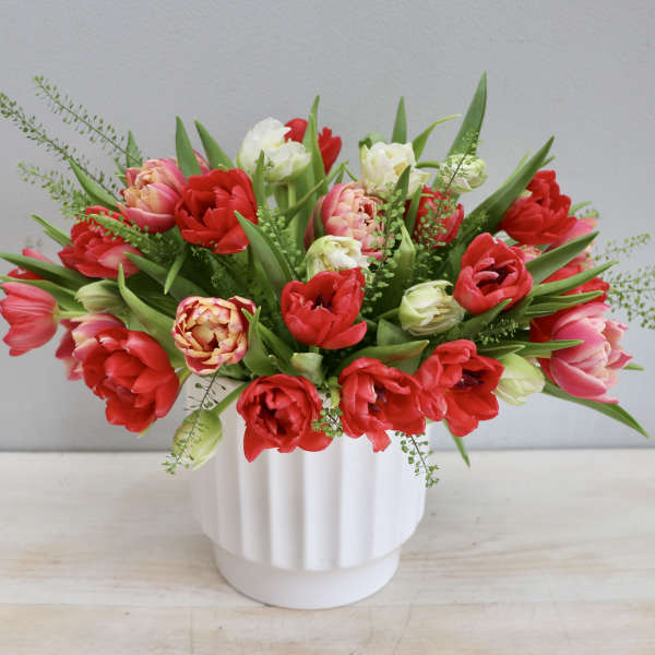 Bouquet of red and pink tulips in a white ribbed vase