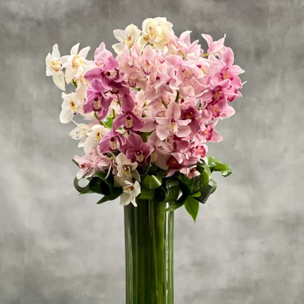 Tall cylinder vase of pink and white orchids with looped green foliage and stones at the base