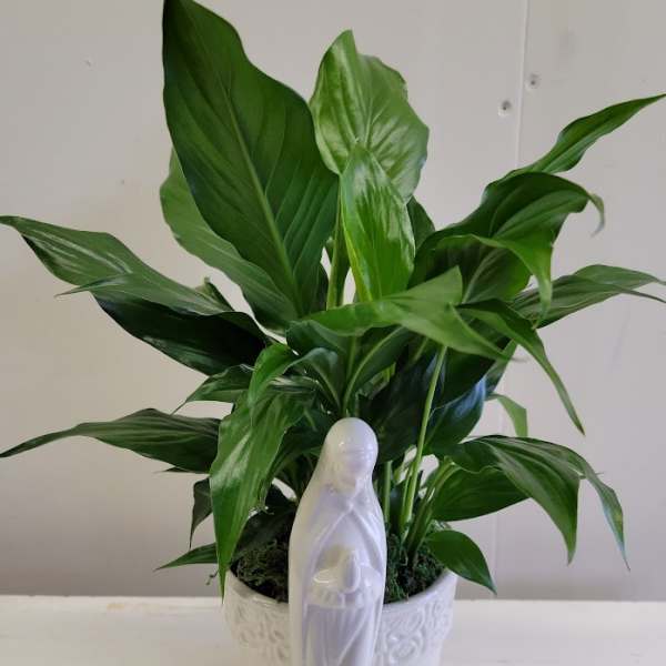 Madonna Sympathy Planter