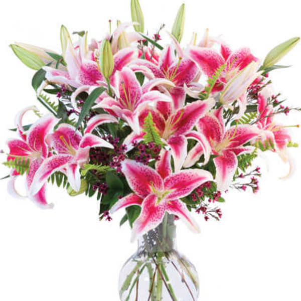 Pink stargazer lilies in a clear glass vase