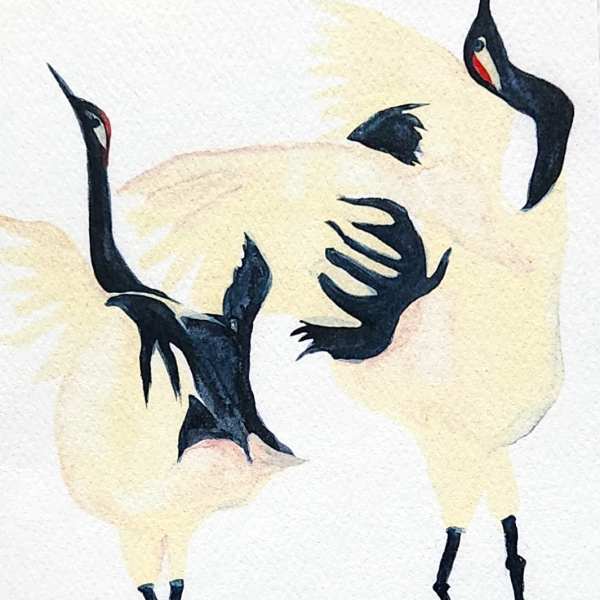Watercolor painting of two white cranes with black necks and red facial markings