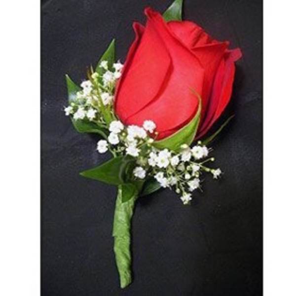 Red rose boutonniere with small white accent flowers on a black background