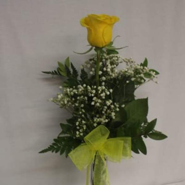 Yellow rose in a glass vase with baby's breath and ribbon