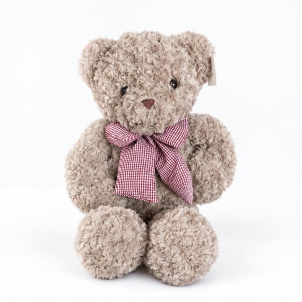 Plush teddy bear with a red gingham bow on a white background