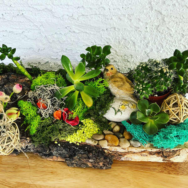 Succulent and cactus arrangement on a bark base with a small bird figurine