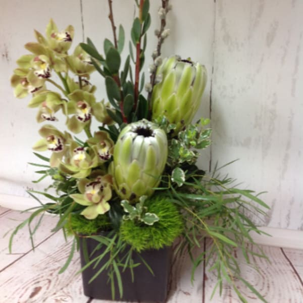 Tall green protea and cymbidium orchid arrangement with branches in a dark square vase