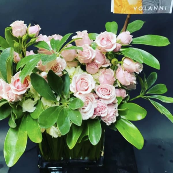 Pink roses arranged in a black vase with broad green leaves