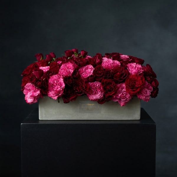 Red and pink roses arranged in a rectangular box