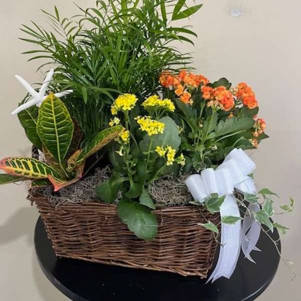 Mixed potted plants and small yellow and orange flowers in a wicker basket