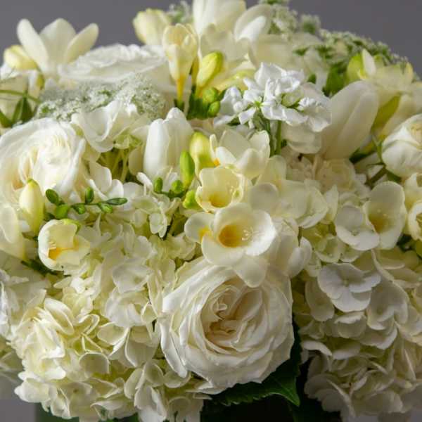 White floral bouquet with roses, hydrangeas, and freesia