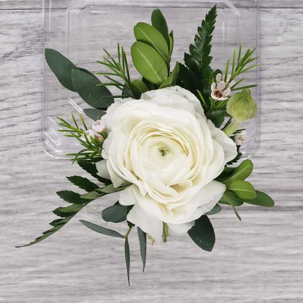 White ranunculus-style bloom with greenery on a clear plastic backing