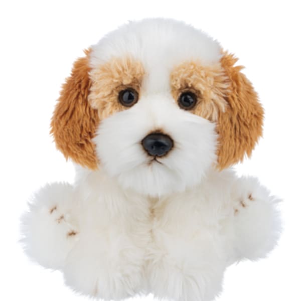 The Heritage Collection Cavachon