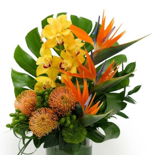 Tropical arrangement with yellow orchids, orange birds of paradise and protea in a green-wrapped glass cylinder vase