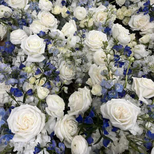 Dense arrangement of white roses and blue flowers