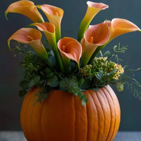 Autumn Grace Pumpkin Arrangement