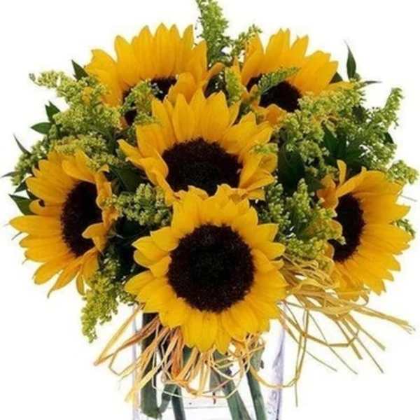 Bouquet of sunflowers in a clear glass vase