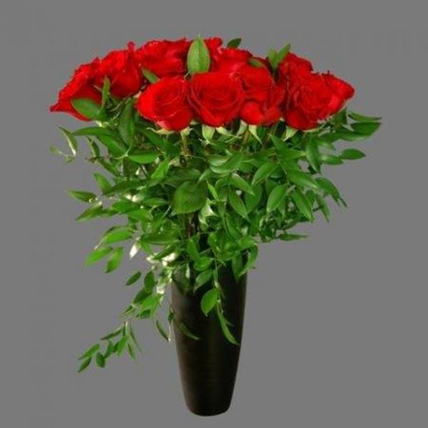 Red Rose Happiness