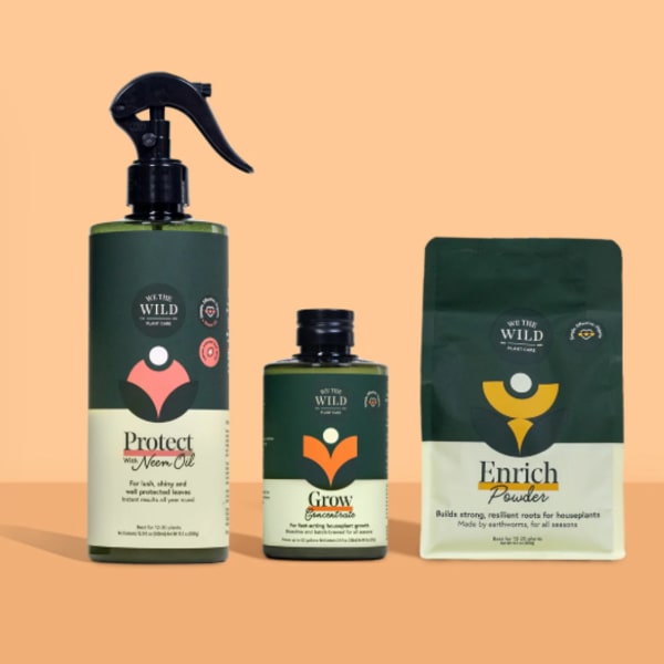 Three plant care products in dark green packaging on a peach background