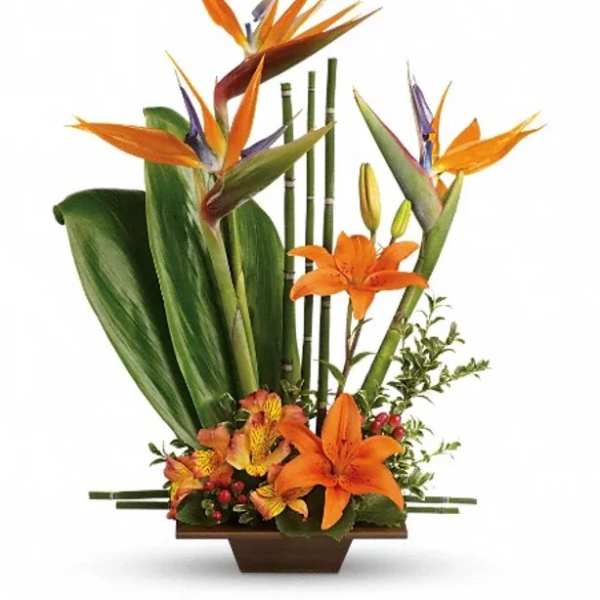 Tropical flower arrangement with orange bird-of-paradise and lilies in a rectangular vase