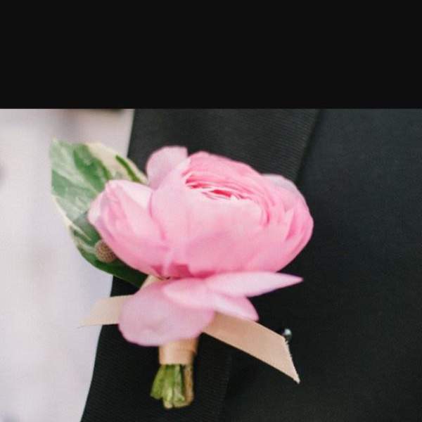 Pink boutonniere with a ribbon tie