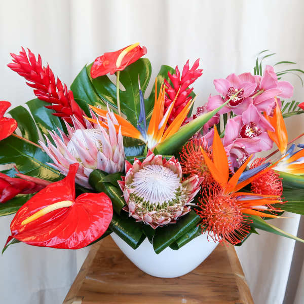 Tropical flower arrangement in a white bowl vase with red, orange, pink, and white blooms