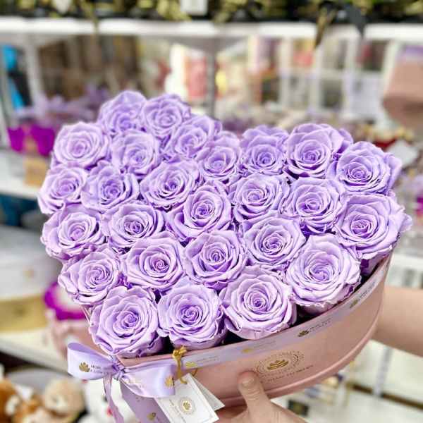 Heart-shaped box filled with tightly packed lavender roses held in both hands