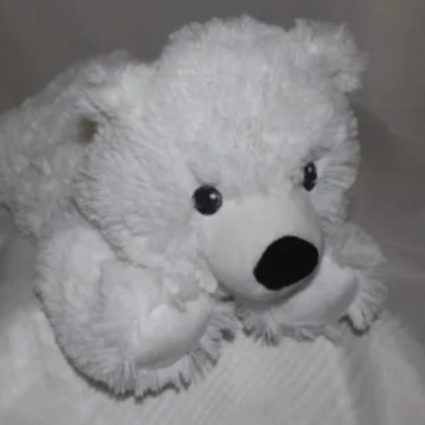 White teddy bear with black eyes and nose