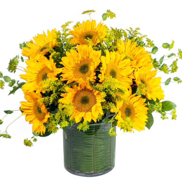 You Are My Sunshine