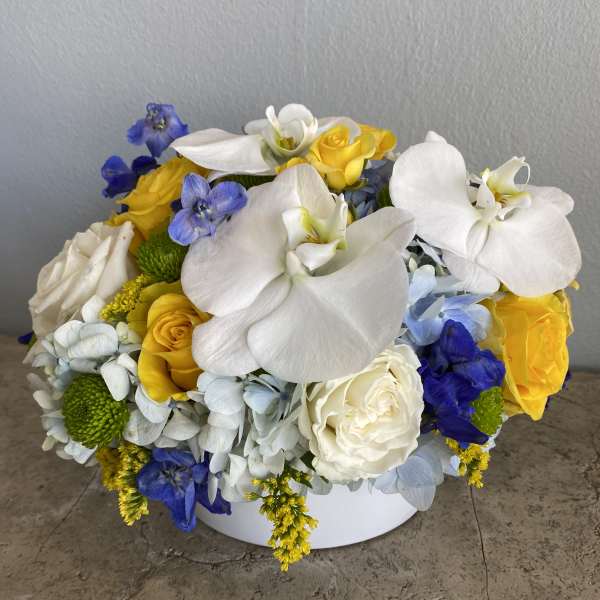 Round bouquet of white orchids, yellow roses, and blue flowers in a white container