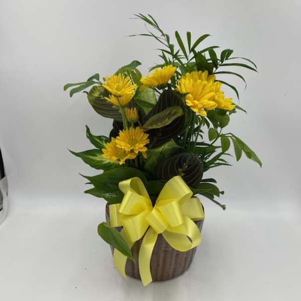 Yellow flowers in a brown pot with a yellow ribbon
