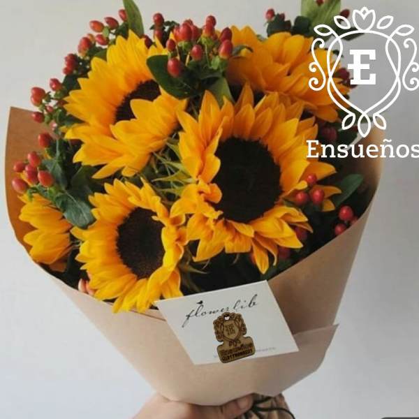 girasol buchon mediano
