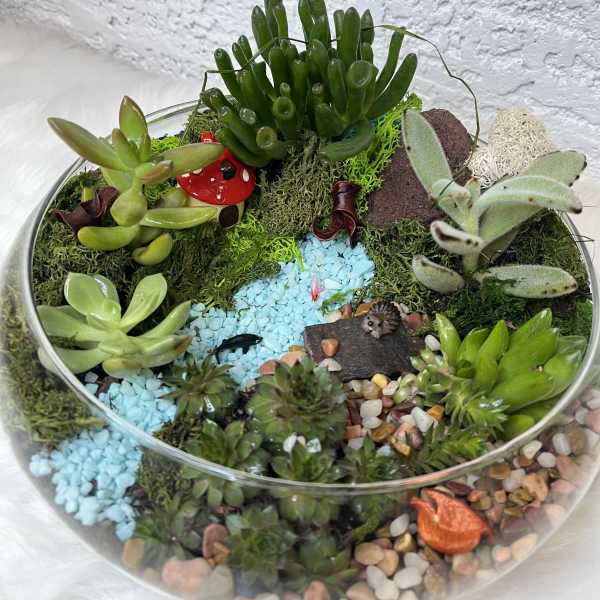 Succulent terrarium in a glass bowl with decorative stones and mini ornaments