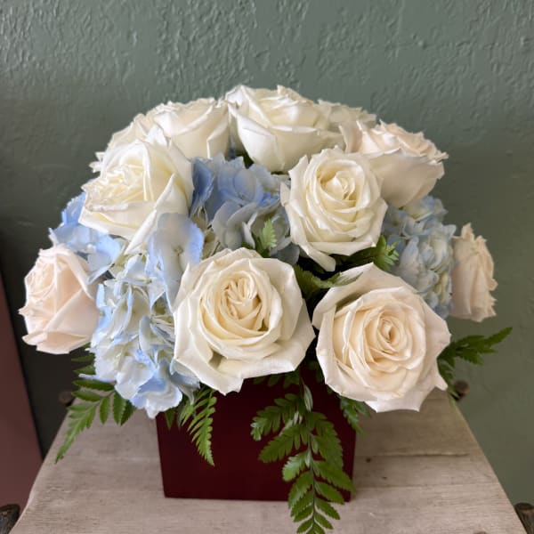 White roses and pale blue hydrangeas in a red square vase