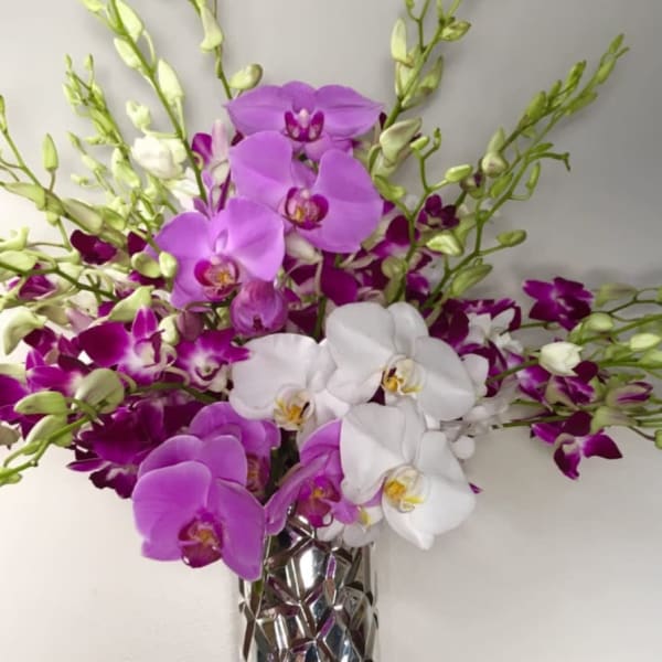 Purple and white orchids arranged in a tall silver vase.