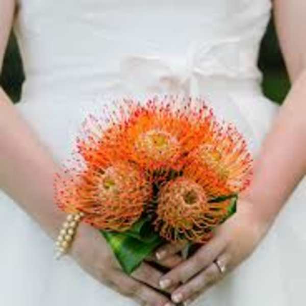 Bride holding a small orange flower bouquet