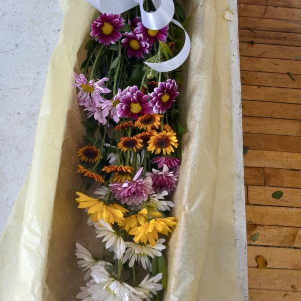 Mixed daisy bouquet in a box with a white ribbon