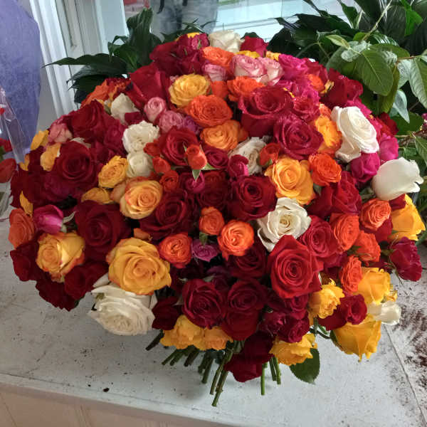 Large bouquet of multicolored roses in red, pink, yellow, orange, and white