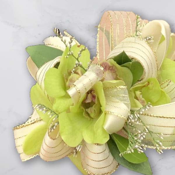 Lime green orchid corsage with cream ribbon loops