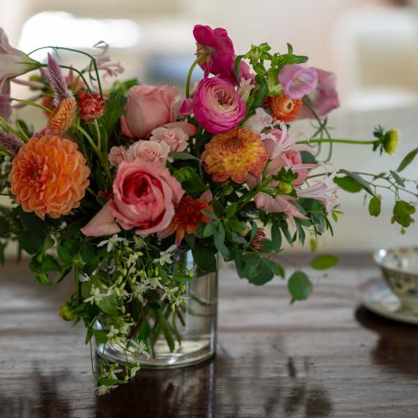 Vibrant and Seasonal