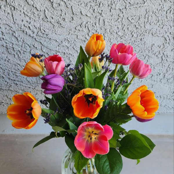 Colorful tulip bouquet in a clear glass vase