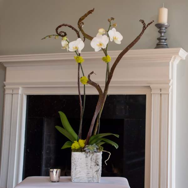 Tall orchid arrangement in a white textured pot with branches and succulents