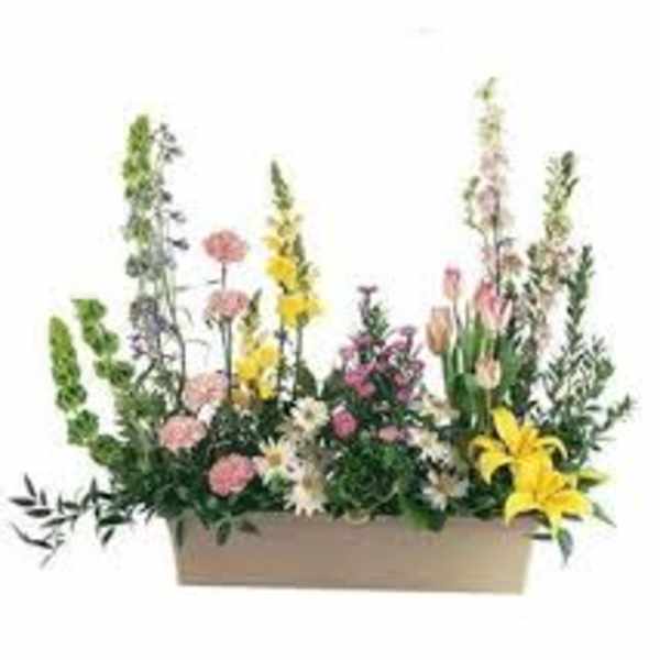 Mixed floral arrangement in a rectangular box with tall blooms