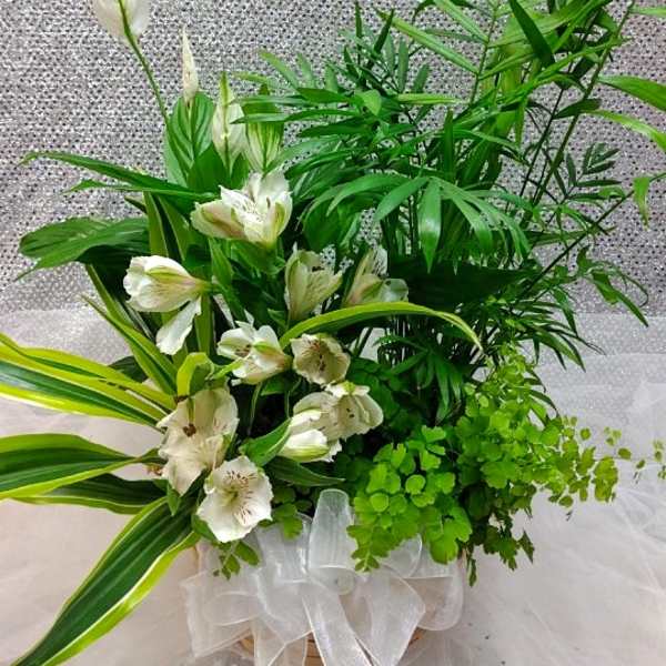 White flowers and lush green foliage in a clear vase with a white ribbon